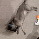 Illustration for article titled Good morning and 2019 Toby oversaturation of Oppo